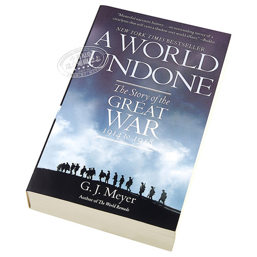预售 一战秘史 罗辑思维推荐 豆瓣阅读 英文原版 A World Undone The Story of the Great War G J Meyer【中商原版】 - 图1