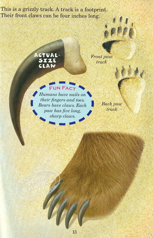谁会赢 北极熊和灰熊 英文原版 Polar Bear Vs Grizzly Bear Who Would Win 科普分级读物 Scholastic 谁会赢 北极熊和灰熊 英文原版 Polar Bear Vs Grizzly Bear Who Would Win 科普分级读物 Scholastic