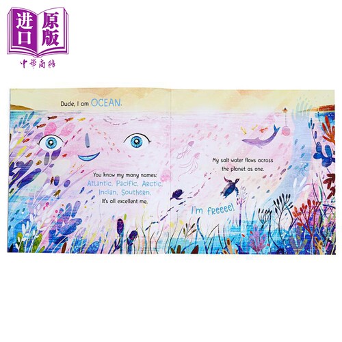 David Litchfield 系列精品绘本 The Bear and the Piano熊和钢琴 森林里的钢琴师 英文原版 亲子共读故事图画书【中商原版】 - 图0