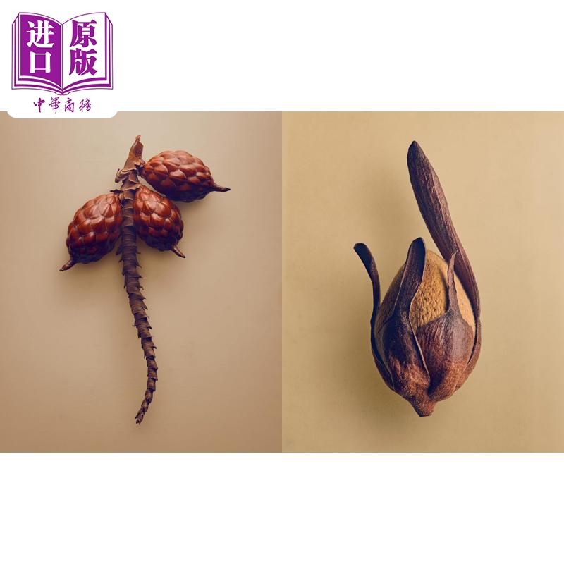 预售 The Hidden Beauty of Seeds& Fruits进口艺术 Levon Biss植物摄影集种子与果实的隐秘之美【中商原版】-图1