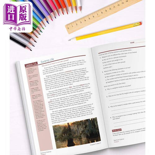 美国Carson Dellosa Spectrum Grade 4 光谱练习册 小学四年级阶段合集 Writing Reading Spelling Math【中商原版】 - 图3