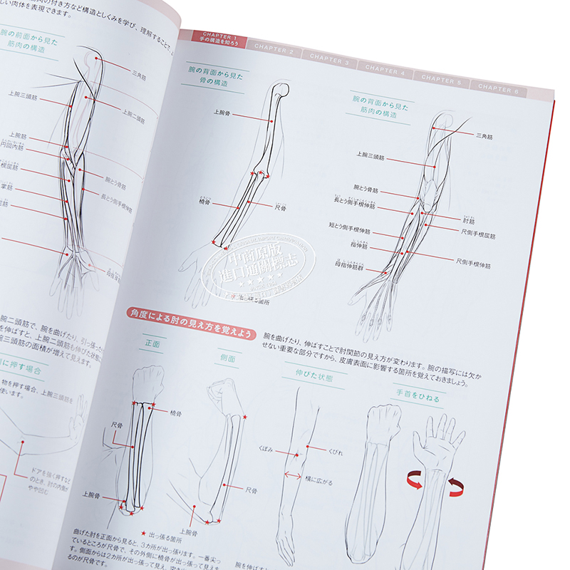 角色手脚描绘基本技巧教学书 日文原版 手と足の描き方基本レッスン キャラクター表現の幅が広がる 超描けるシリーズ【中商? - 图2