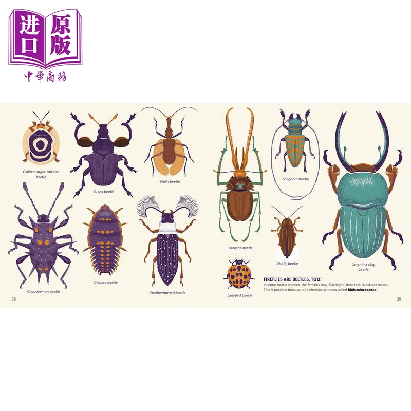 Amazing Insects Around the World 惊奇的各国昆虫 英文原版 进口图书 儿童科普绘本 动物百科知识图书 自然科学【中商原版? - 图3