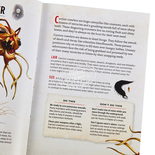 年轻冒险家合集 龙与地下城图解指南4册套装 英文原版 The Young Adventurers Collection Dungeons and Dragons【中商原版】 - 图2