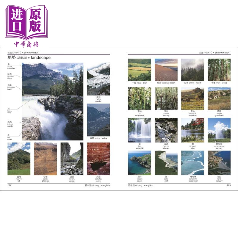 预售 Japanese-English Bilingual Visual Dictionary DK日英双语视觉词典 配免费音频app 英文日文对照原版进口图书【中商原版】 - 图2