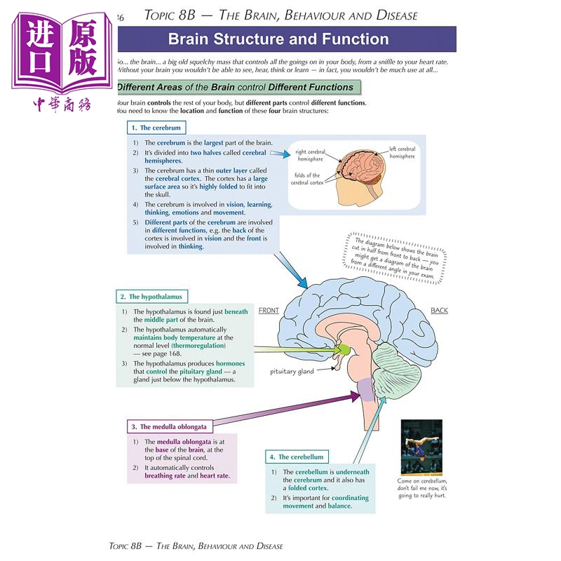英国CGP A-Level Biology: Edexcel A Year 1 & 2 Complete Revision & Practice with Online Edition【中商原版】 - 图1