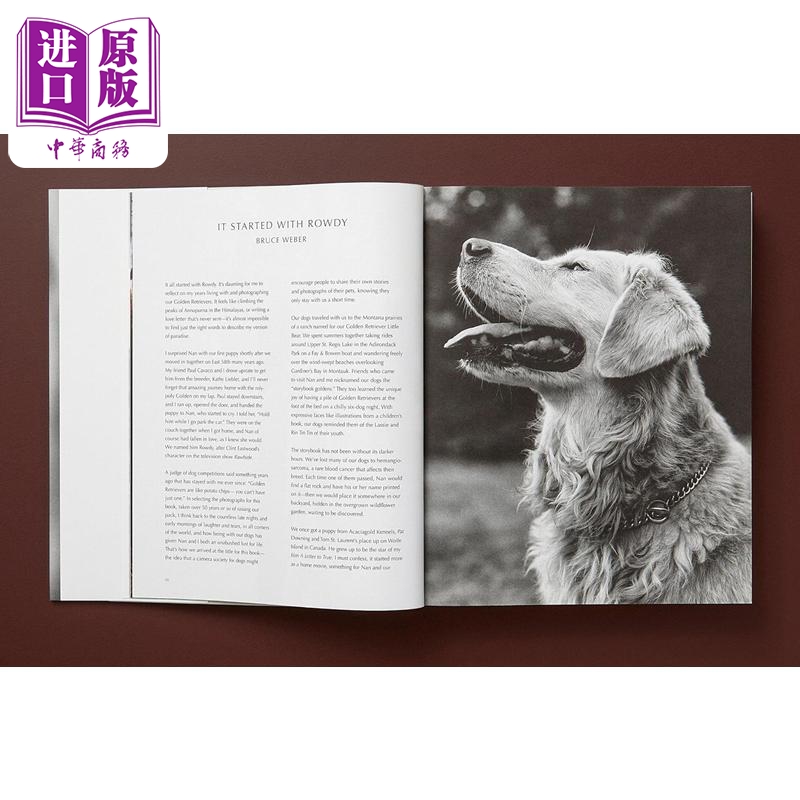 现货 THE GOLDEN RETRIEVER PHOTOGRAPHIC SOCIETY 进口艺术 金毛狗狗摄影集 Taschen【中商原版】 - 图3