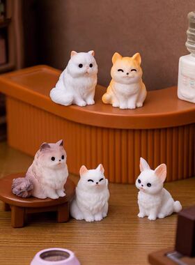 微景观创意可爱小猫猫咪装饰摆件