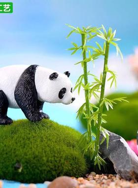 微缩植物迷你小竹子造景装饰摆件