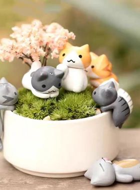 苔藓微景观饰品仰望可爱猫摆件