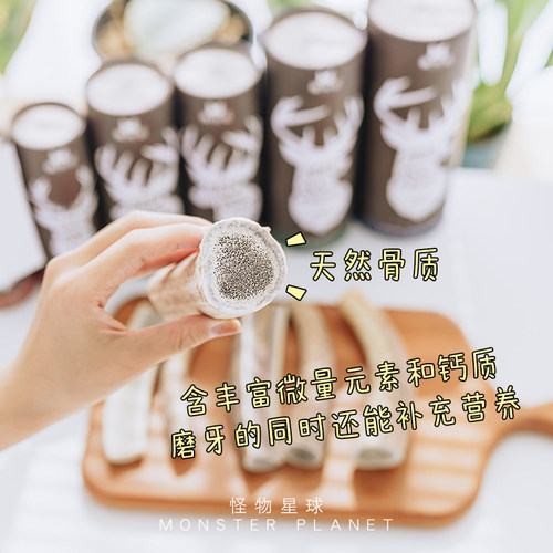 佩特滋天然鹿角宠物洁齿狗狗磨牙棒啃咬磨牙骨头零食幼犬小型犬 - 图0