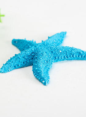 地中海风格五指天然鱼缸海星地台摆设创意树脂装饰海螺墙贴墙饰