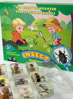 树脂昆虫标本透明真实蜘蛛蝎子土蜂教学观察真虫摆件迷你生态摆件