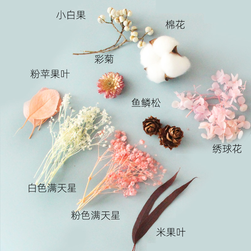 天然干花永生花假花仿真花儿童手工diy自制团扇贴画材料包幼儿园 - 图1