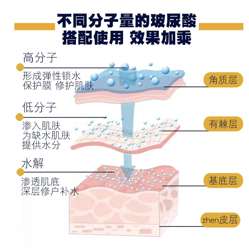 华熙生物纳诺HA酶切寡聚透明质酸钠粉超低小分子水解玻尿酸粉末1g-图2