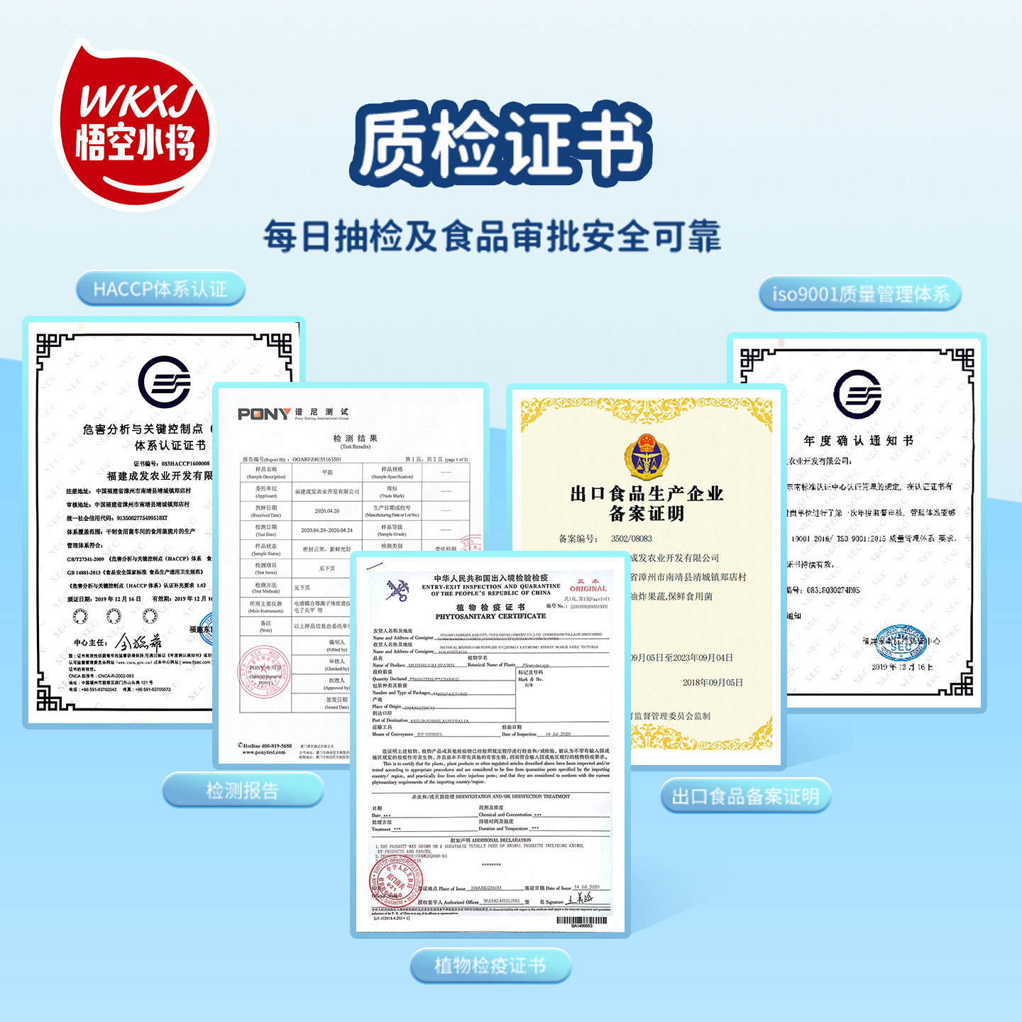 悟空小将蘑菇蘑菇种植包diy平菇菌包黄金种植儿童家庭盆栽菌棒,淘宝优惠券,粉丝福利购,淘宝优惠卷