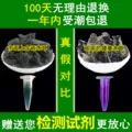 东北长白山特产级干木耳散装黑木耳干货非野生秋木耳500g无根新货 图片 3