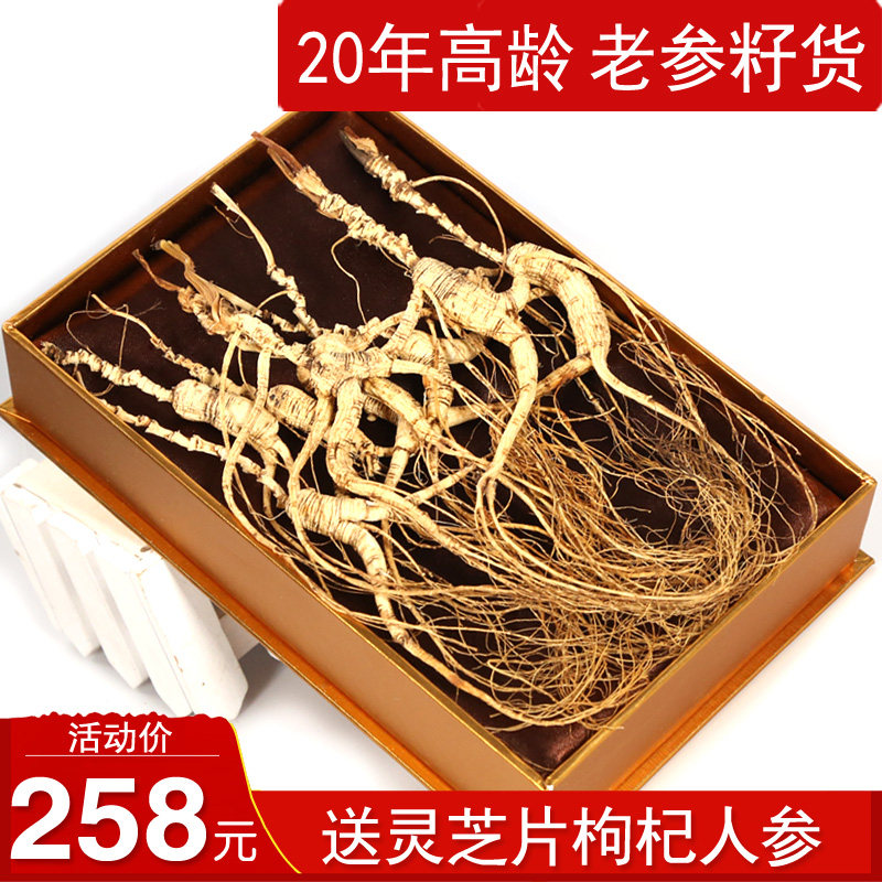 林下长白山20年东北野生整枝野山参 秦鼎泰山参