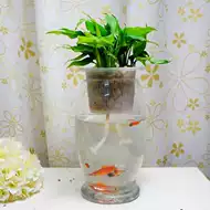 万年青花瓶 新人首单立减十元 21年8月 淘宝海外