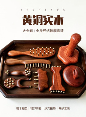 ITSHEYDC黄铜实木经络按摩工具套装面部身体刷头疗梳子家用美容院