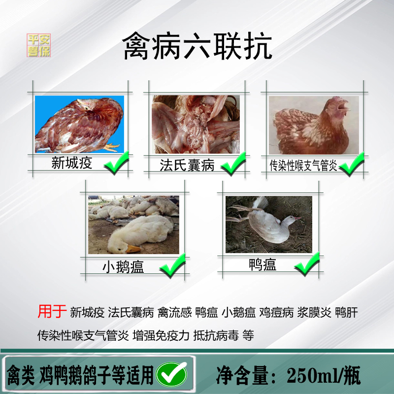 平安兽保禽用六连抗鸡鸭鹅鸽禽类流感新城疫法式囊鸡瘟鸭瘟速效快 - 图0