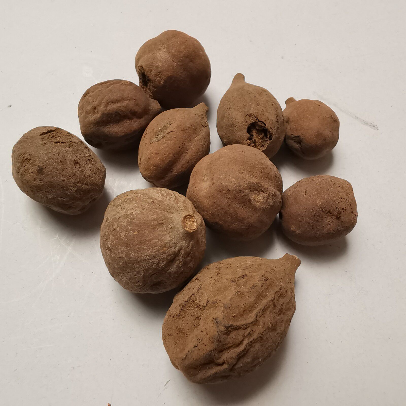 新货中药材毛诃子 毛柯子大金果 麻来 诃梨 诃黎 香柴 随风子500g