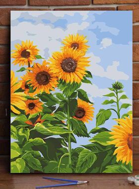 花卉数字油画diy填色手工涂鸦解压治愈系丙烯画高颜值生日礼物