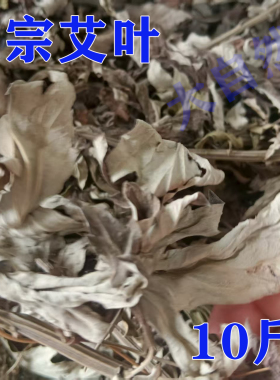 正宗艾叶三年陈艾药效温和