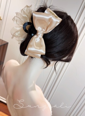 韩国设计师水晶钻AB面花朵抓夹