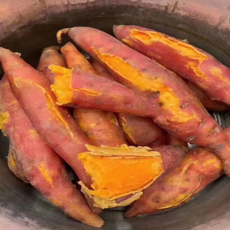 云南建水西瓜红手指小红薯软糯香甜当季现挖现发红心红薯新鲜红皮