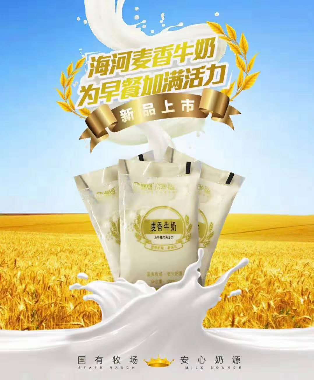 海河恋上可可牛奶180ml16袋装透明袋网红巧克力风味 - 图2