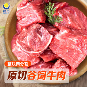 【皓月】国产谷饲原切黄牛肉4斤炖炒卤煮生鲜冷冻大块牛肉