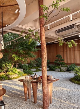 原生态带皮原木立柱室内造景树