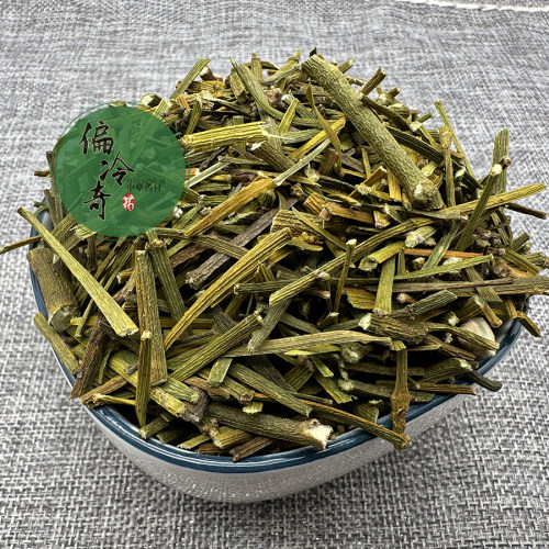道地中草药材枫香寄生螃蟹夹 桐树寄生 桑寄生科属扁枝槲寄生500g - 图0