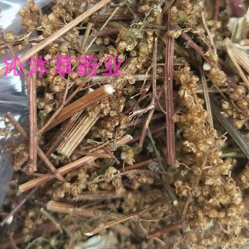 黄花蒿中草药秋蒿臭蒿青蒿素香蒿秋季采收新鲜干货可磨粉非青蒿-图1