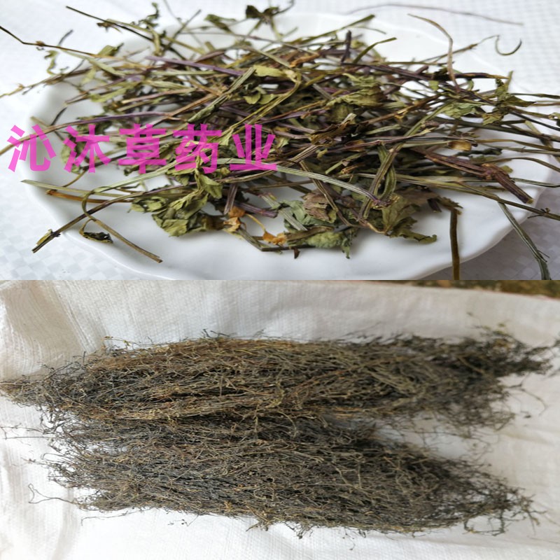 广西白花蛇舌草中药材500克百花蛇舌草新鲜干货 另售半枝莲铁树叶 - 图2