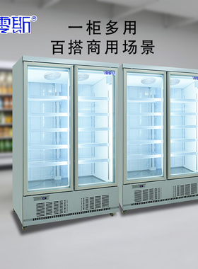 赛零斯冷冻展示柜大容量急冻节能