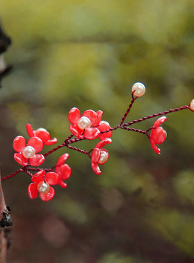 串珠花束梅花盛开满园