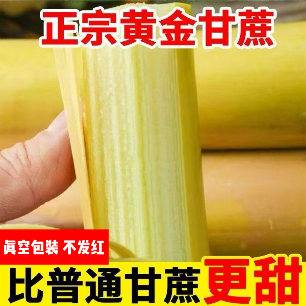 云南黄金甘蔗新鲜现砍黄皮手撕甘蔗儿童孕妇水果真空包装产地直发,淘宝优惠券,粉丝福利购,淘宝优惠卷
