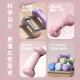 Ladies Small Dumbbell Solid Cast Iron