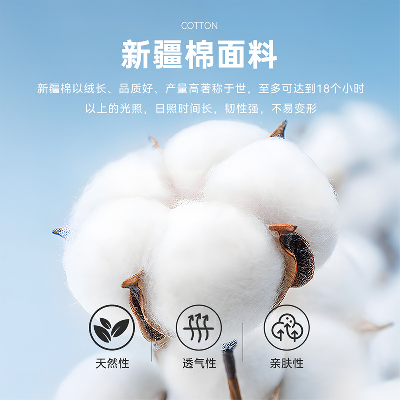 【100%棉】Raidy Boer/雷迪波尔男珍珠贝纽扣针织开衫长袖T恤6403,淘宝优惠券,粉丝福利购,淘宝优惠卷