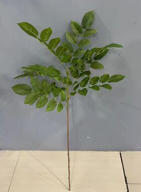 仿真番石榴树叶绿植造景装饰