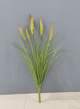 仿真毛毛草牧草狗尾巴草