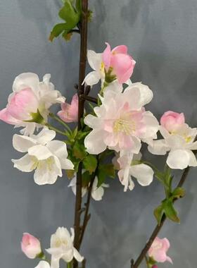 仿真樱花枝桃花枝家居卧室摆件