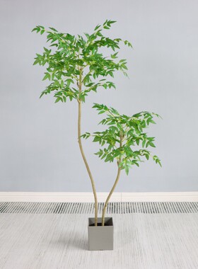 仿真南天竹摆放绿植河北
