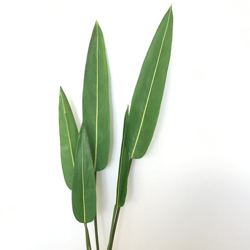 仿真水竹芋水竹叶绿枝叶 仿真树枝绿色植物假花鹤望兰装饰插花 - 图0