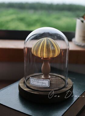 海洋海岛复古贝壳海胆海螺灯小夜灯摆件手工海胆小夜灯成品