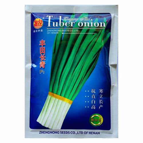 丰田长青F1 韭菜种子一代杂交抗寒抗病超高产大棚小棚蔬菜种籽 - 图1