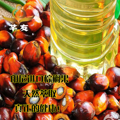 酥油液体供佛灯2L佛灯油环纯无烟佛油灯油长明灯油福田油酥油灯 - 图3