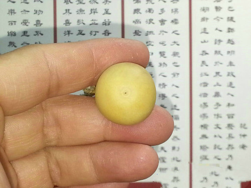 丰一阁文玩精品天津本地长嘴天然本长手捻三庭三亭葫芦Z002 - 图2